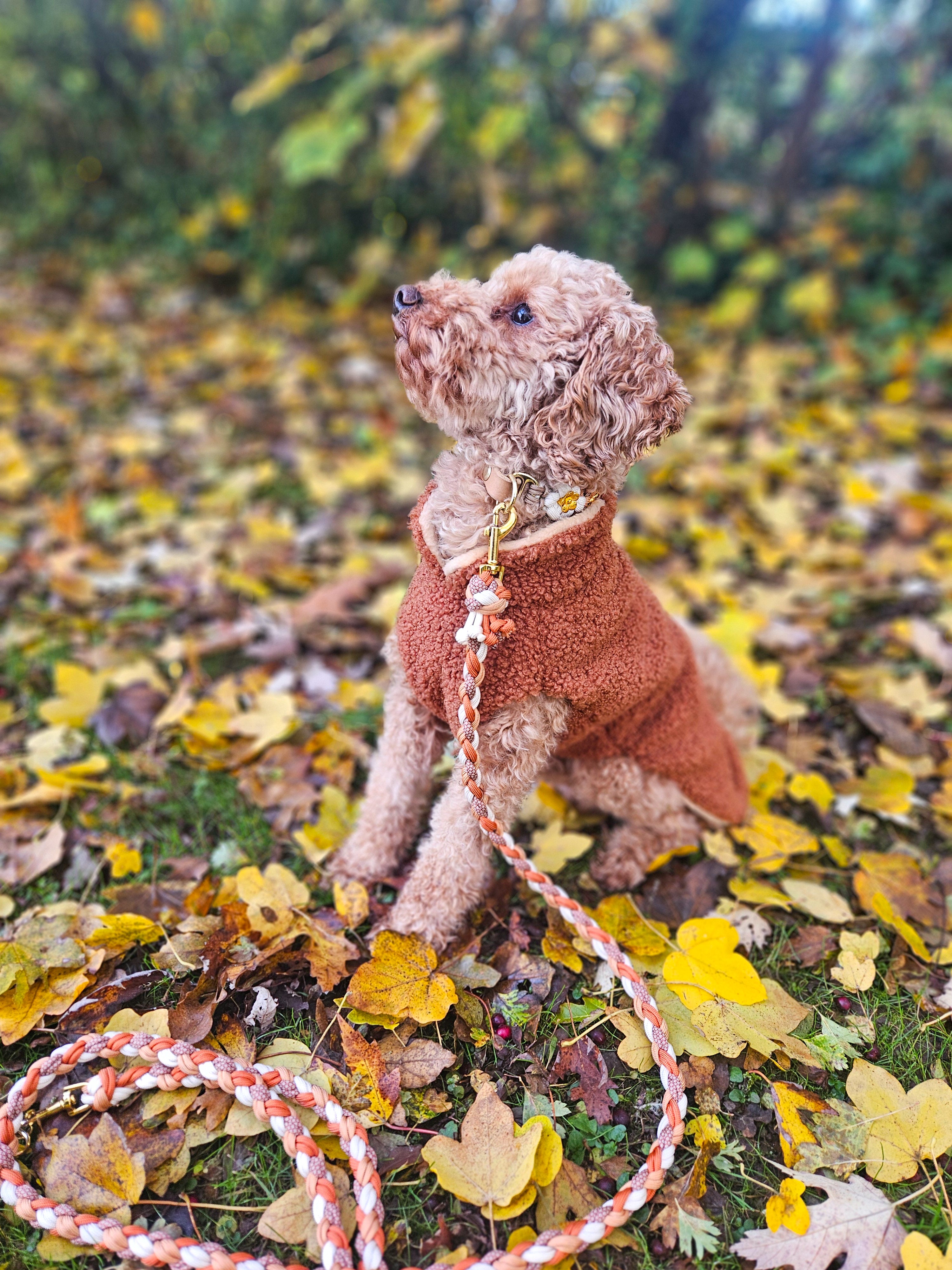 Hundepullover aus Teddystoff mit Fleece-Futter - klassik edition
