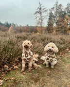 Hundepullover aus Teddystoff mit Fleece-Futter - special edition