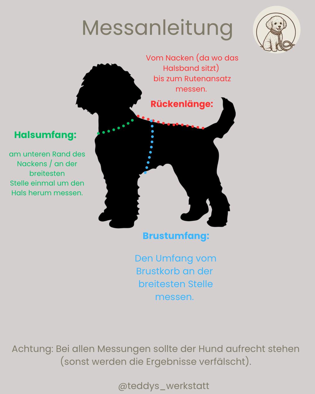 Hundepullover aus Teddystoff mit Fleece-Futter - special edition