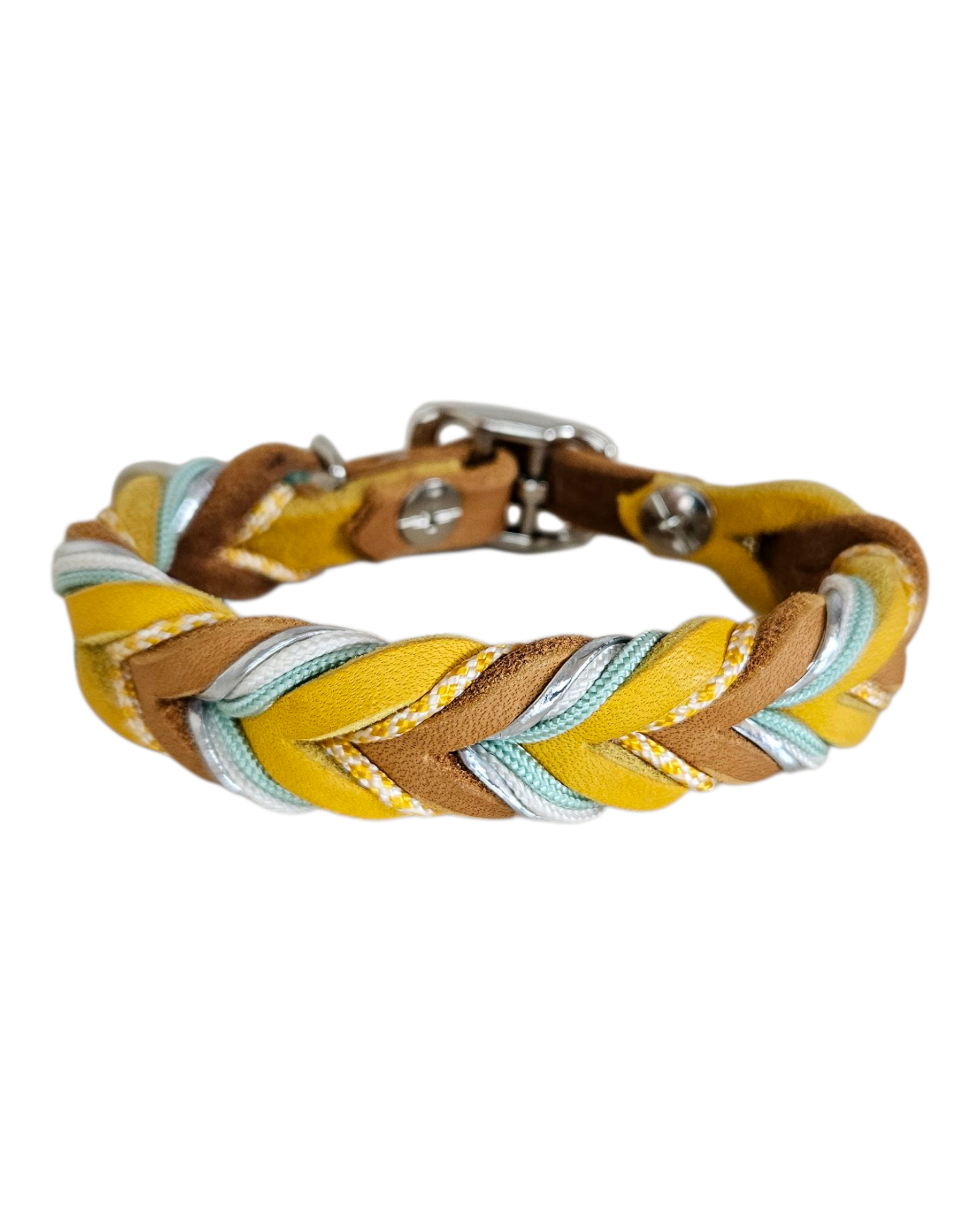 Hundehalsband "Sweet Mustard"