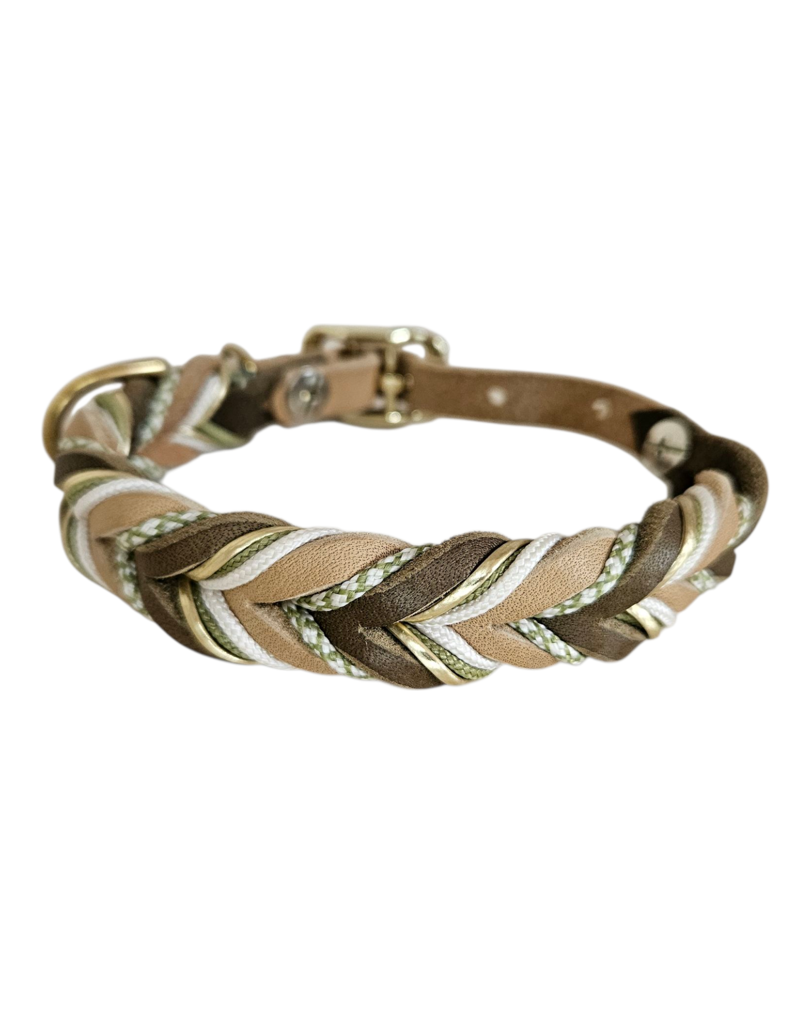 Hundehalsband "Calm Jungle"