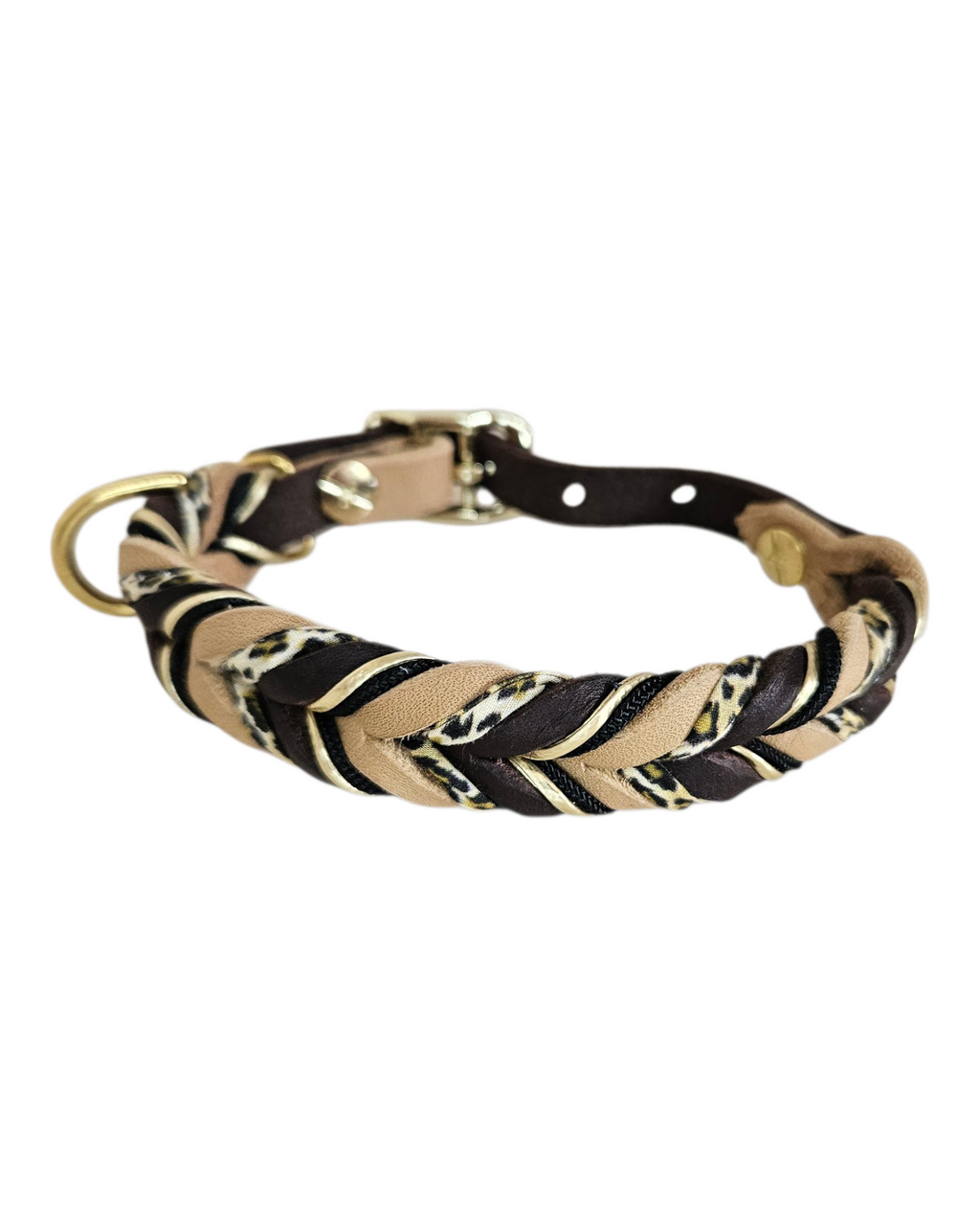 Hundehalsband "Classy Leo"