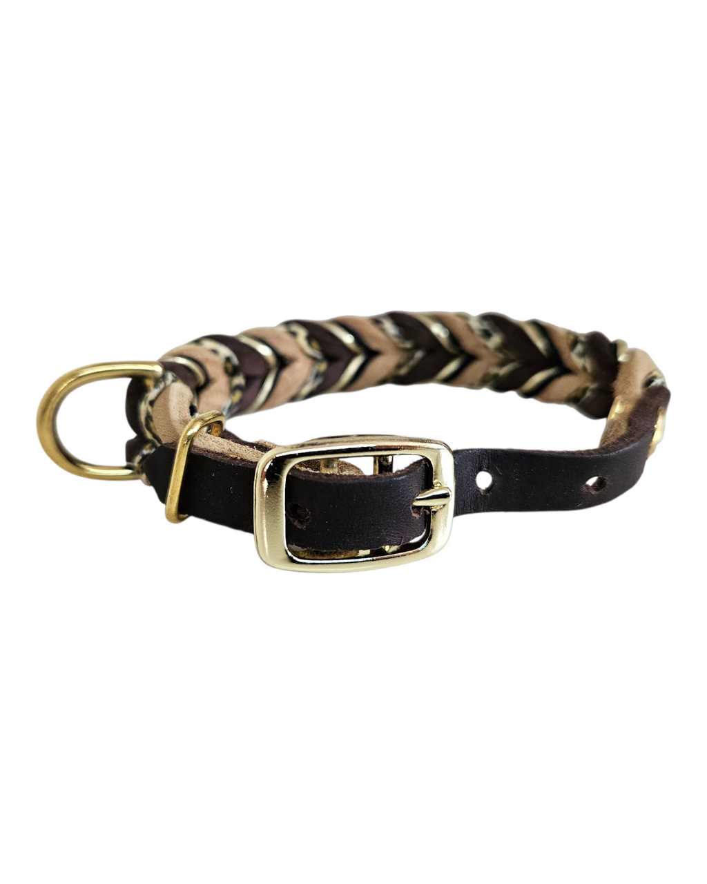 Hundehalsband "Classy Leo"