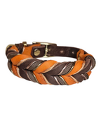 Hundehalsband "Chocolate Pumpkin"
