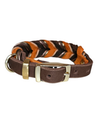 Hundehalsband "Chocolate Pumpkin"