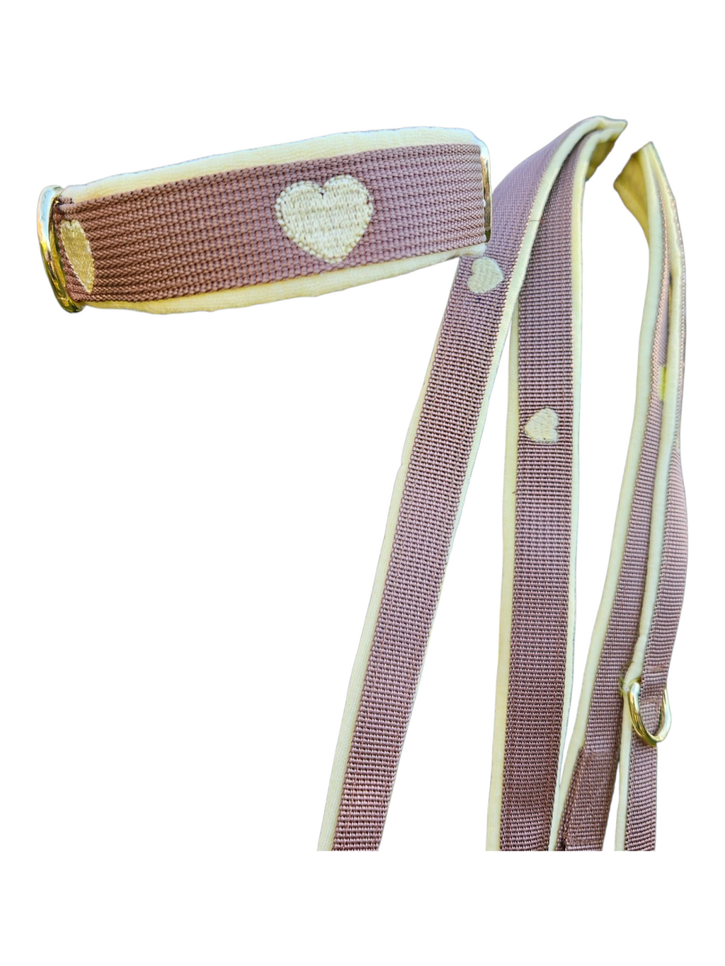 Halsband & Leine Gelb