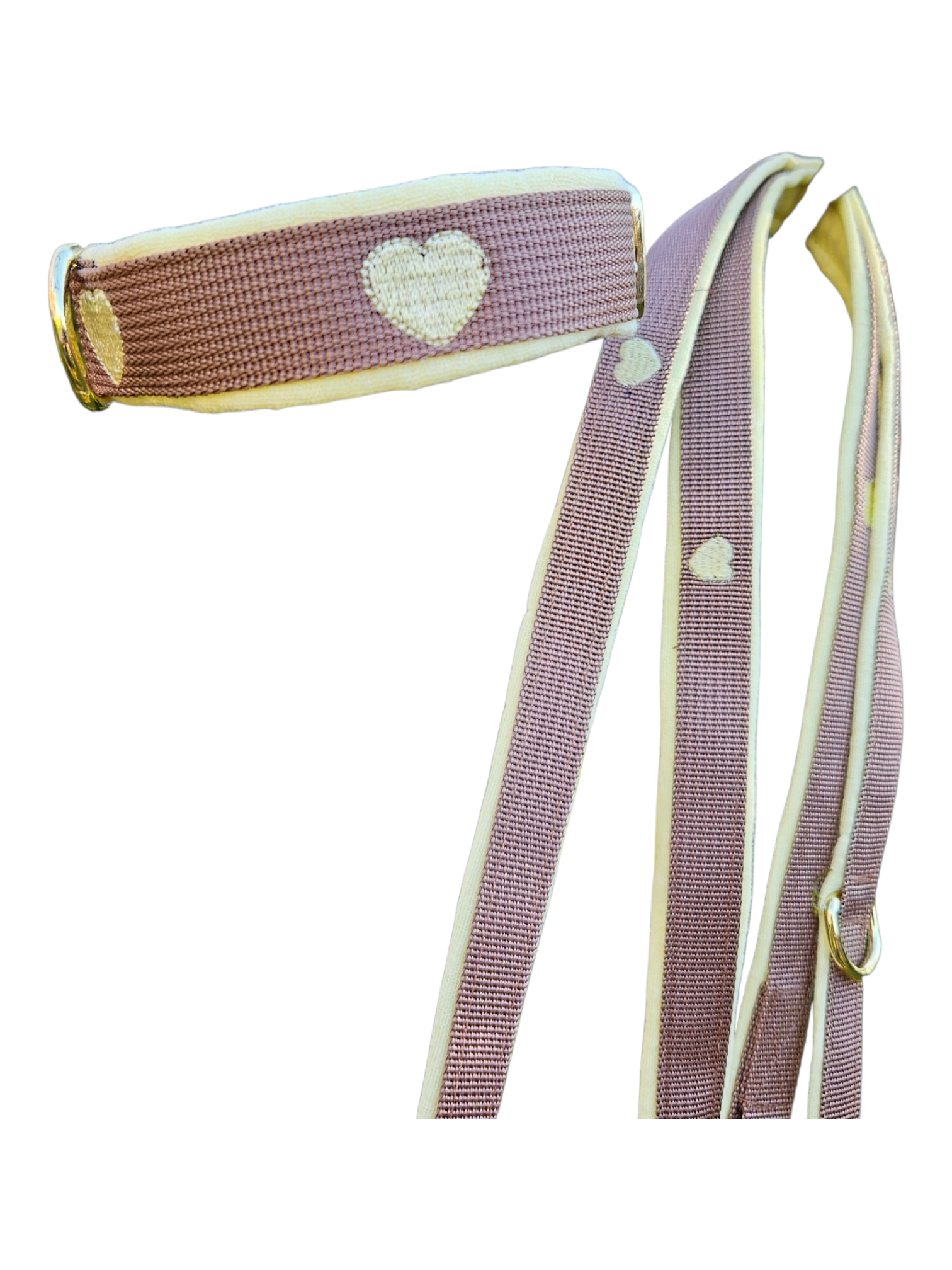 Halsband & Leine Gelb