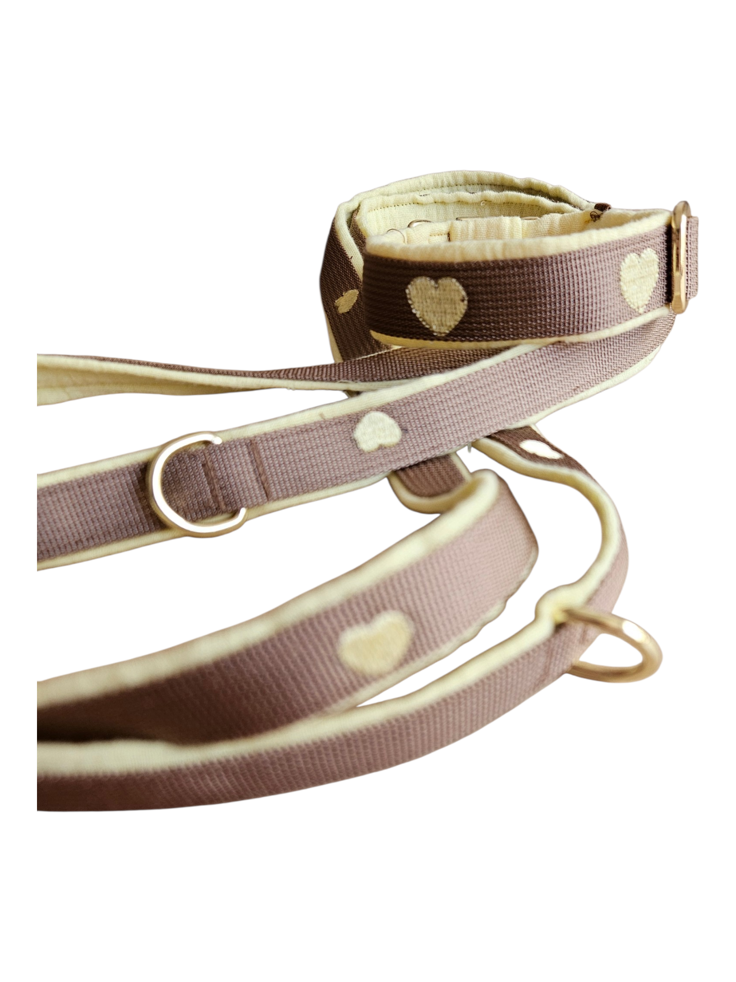 Halsband & Leine Gelb
