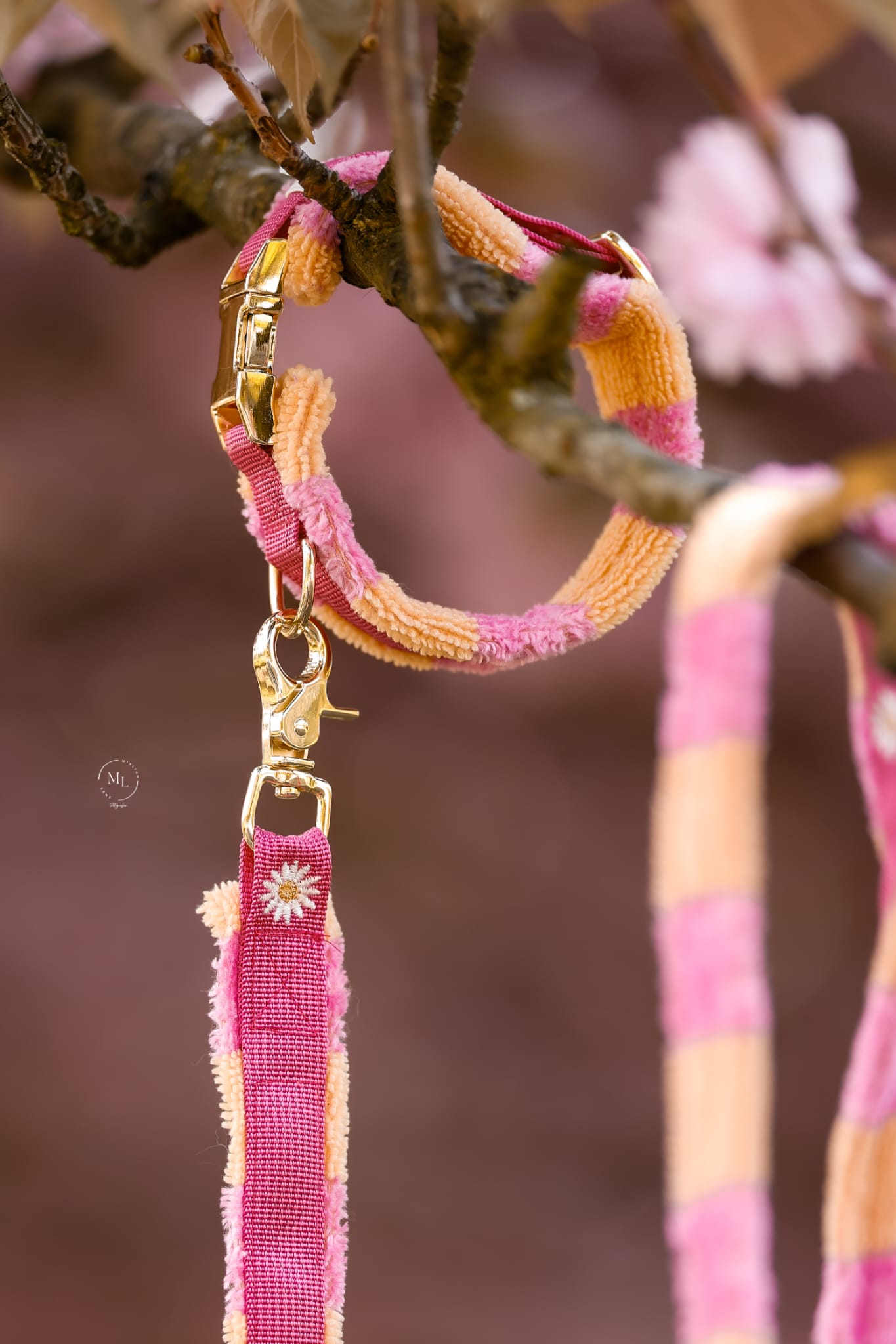 Halsband & Leine Pink/Orange