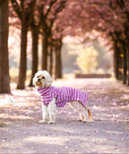 Hunde-Bademantel Frottee - Streifen Lila