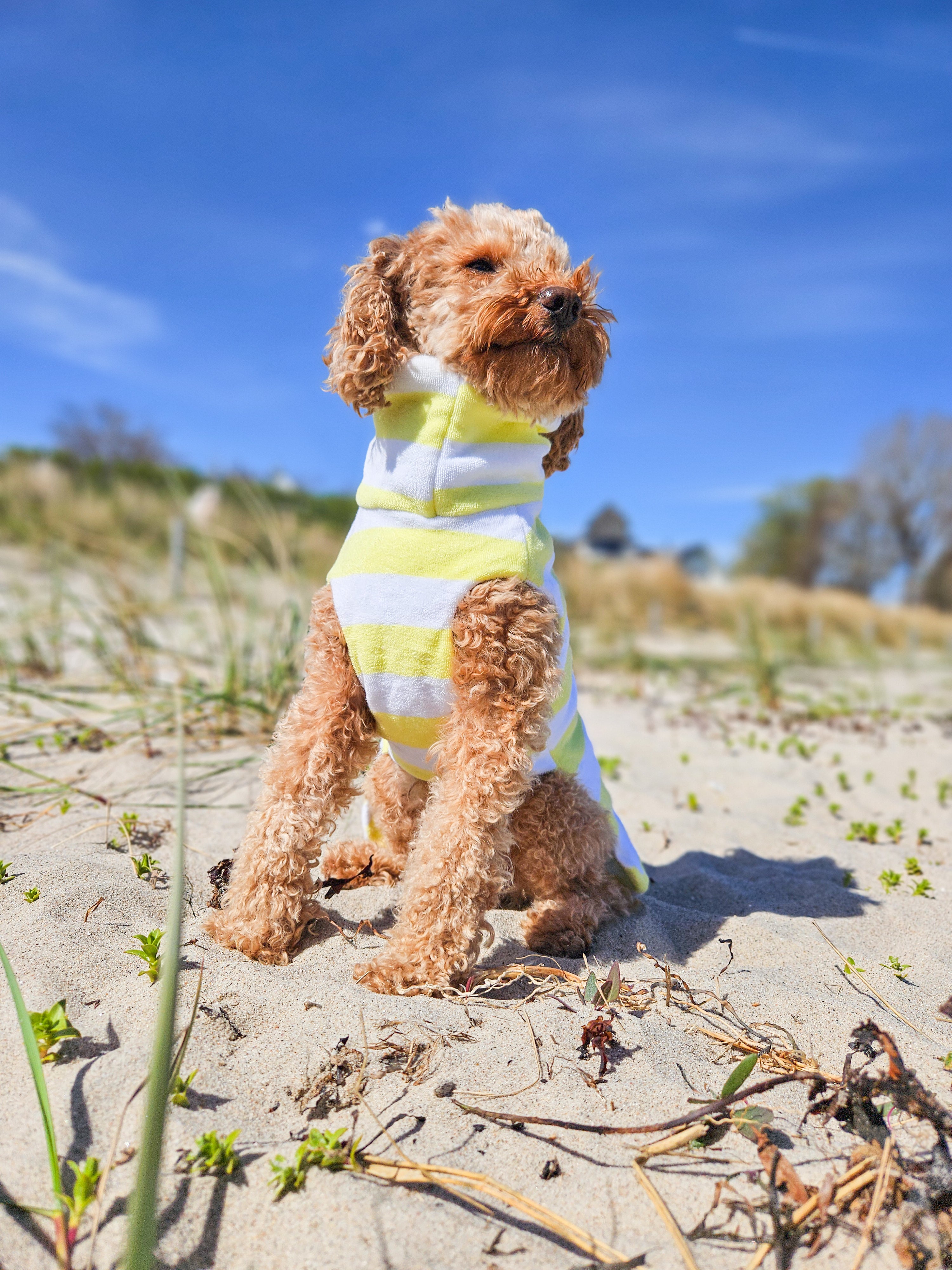 Hunde-Bademantel Frottee - Streifen Gelb
